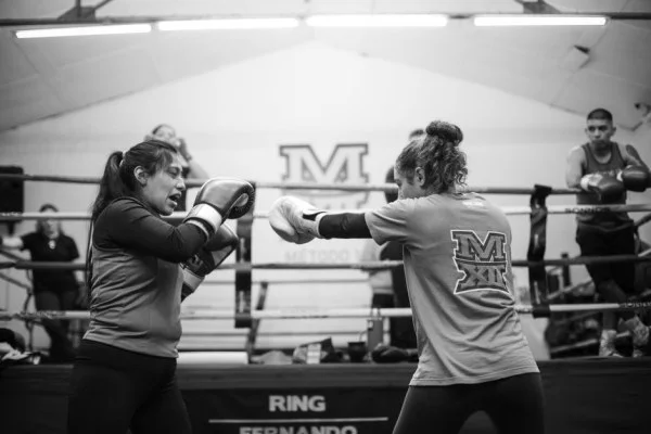 female boxer training
